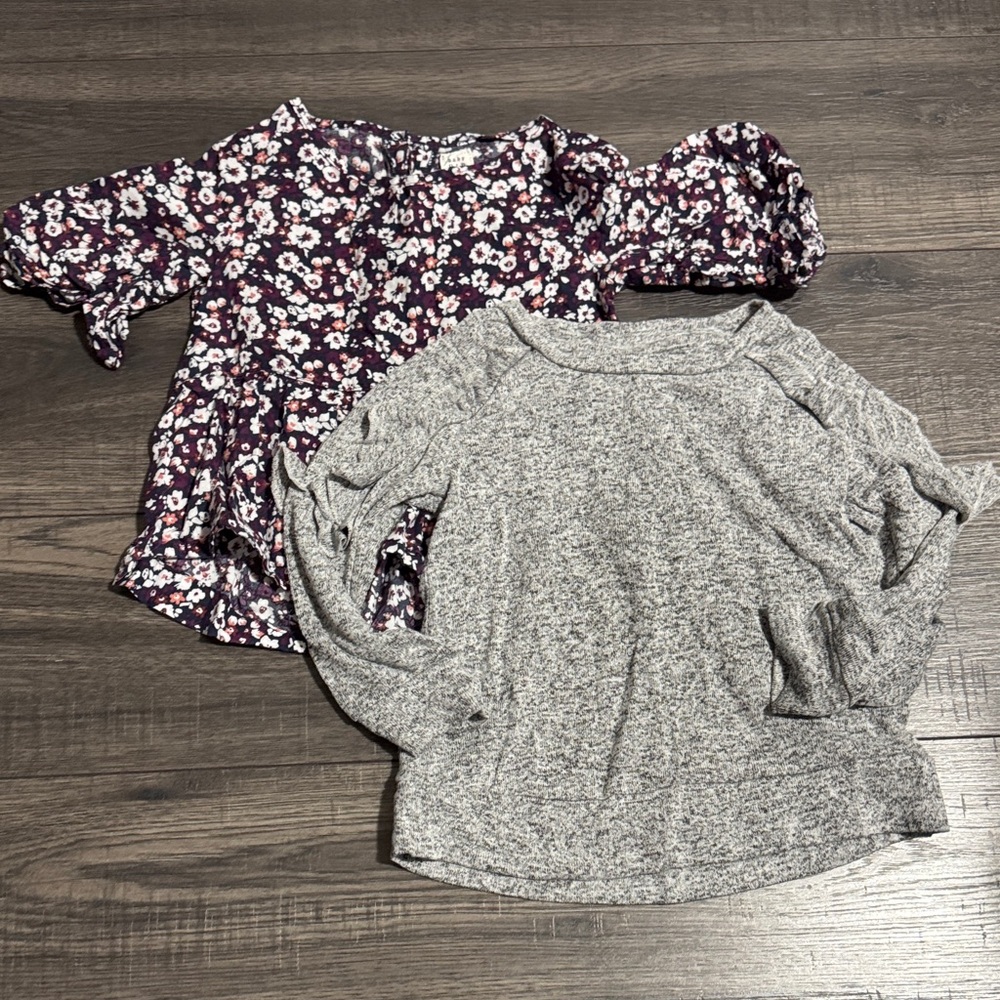BabyGAP Floral and Gray Blouse Duo
